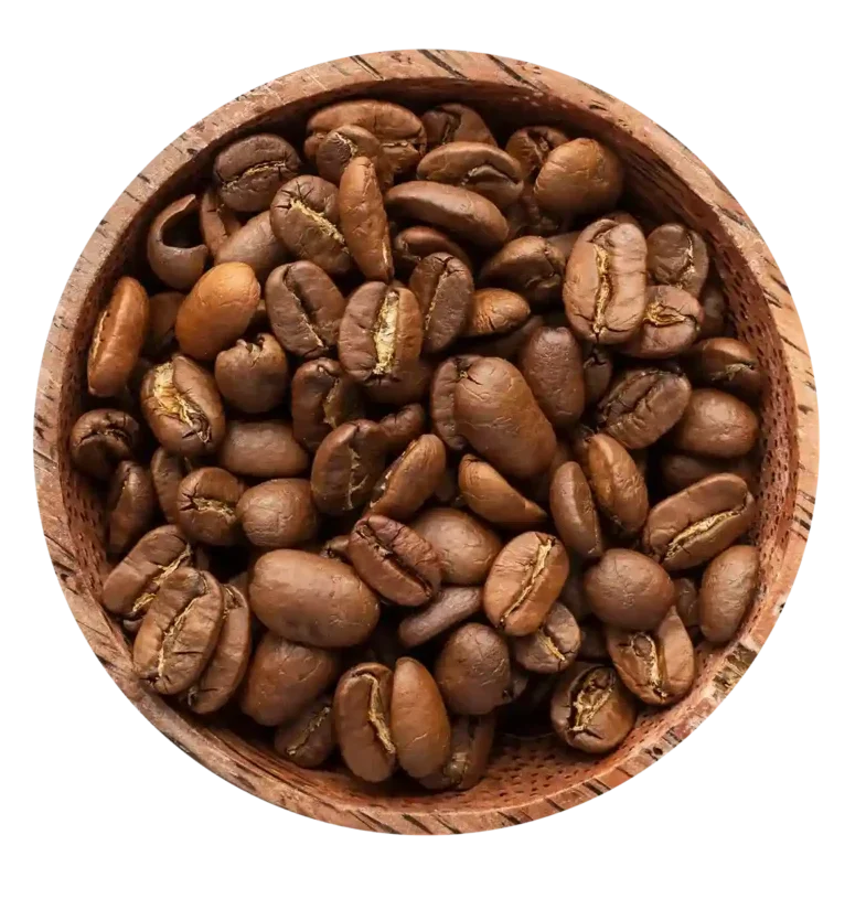 Arabica