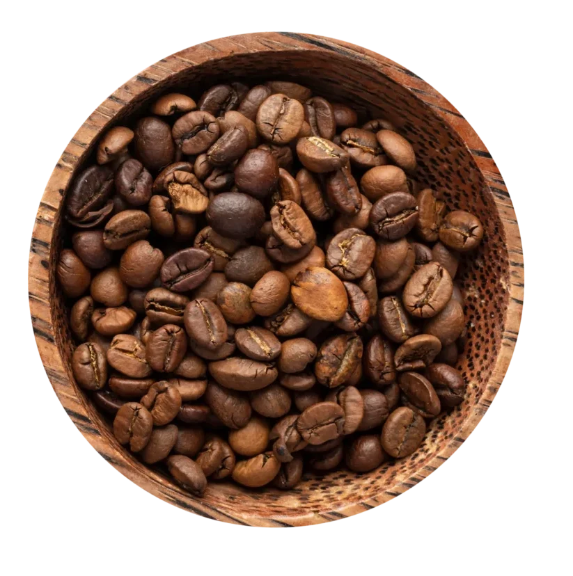 Robusta